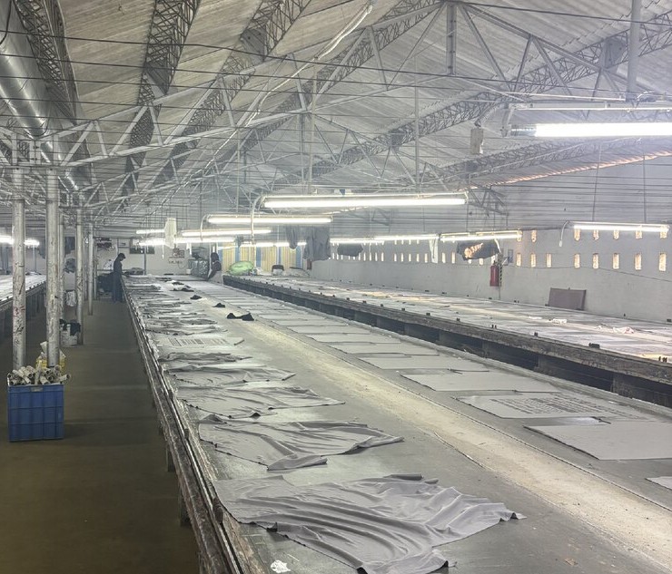 Long printing table line inside the table division